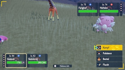 The camera focuses on the visual weaknesses of the game instead of the turn-based battles.