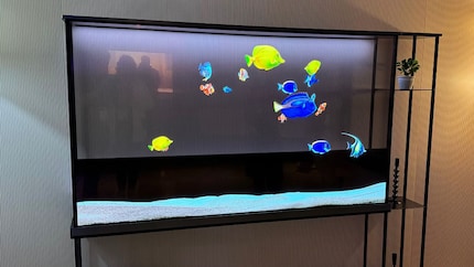 LG's Signature OLED T with a 77-inch diagonal: the hype is real. But what's behind it?