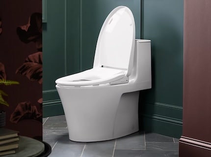 Smart toilet use with warm air dryer and UV cleaning.