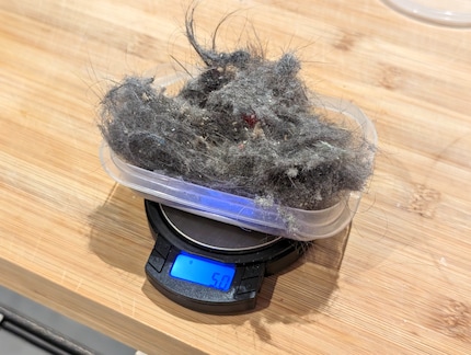 Fünf Gramm Staub und Haare sind eine ziemliche Menge.