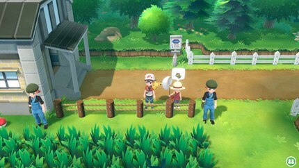 Gibt es in Low-Level-Zonen keinen Weg am hohen Gras vorbei, werden die verzweifelten Angriffsversuche der wilden Pokémon schnell frustrierend.
