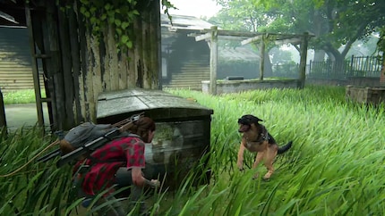 I’m glad I was able to spare at least some dogs in The Last of Us Part II.