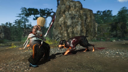 I didn’t want to kill you, I swear.
