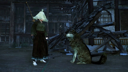 The formerly evil dog looks on dutifully while I slash through opponents.
