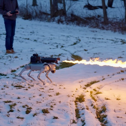 Ein Smartphone mit Gamepad reicht, um den feuerspeienden Hund zu befehligen.