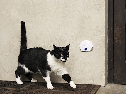 As soon as the cat passes the sensor, there’s sound or light signal that goes off indoors.