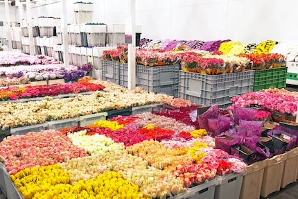 Flowers say it best: for the flower trade, Mother’s Day is the strongest day of the year after Valentine’s Day.