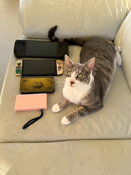 A size comparison between Nintendo DS Lite, Nintendo 3DS XL, Switch and Steam Deck shows the differences between the devices. As a benchmark, a cat's length.