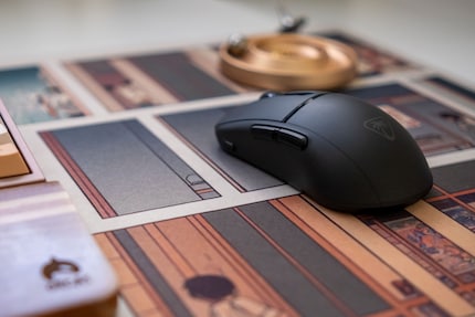 Looks like a mouse, it is a mouse.