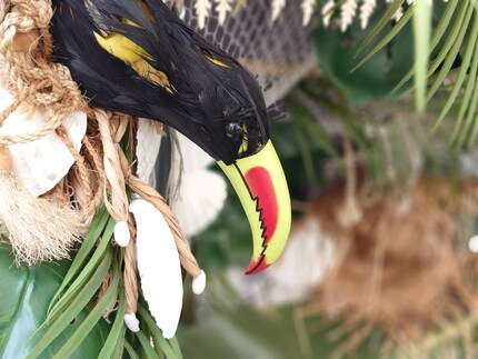 The toucan and rope are beautifully emphasised by the bokeh. However, the beak is blurred at the tip.