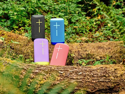 The Everboom comes in a total of four colours.