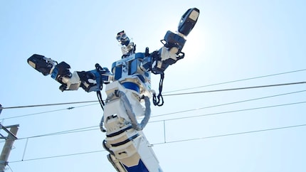 Its arm span is over twelve metres.
