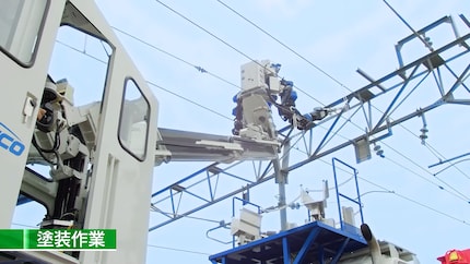 He is fast at lofty heights (up to twelve metres) and fast at work.
