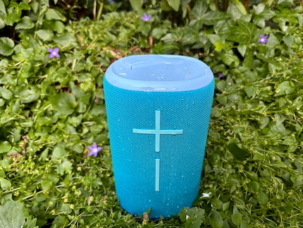 The Everboom can withstand a lot of moisture and water.