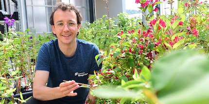 Silvan Bosshard mit seinem Lieblingsnützling in der Hand: dem Adalia-Marienkäfer.