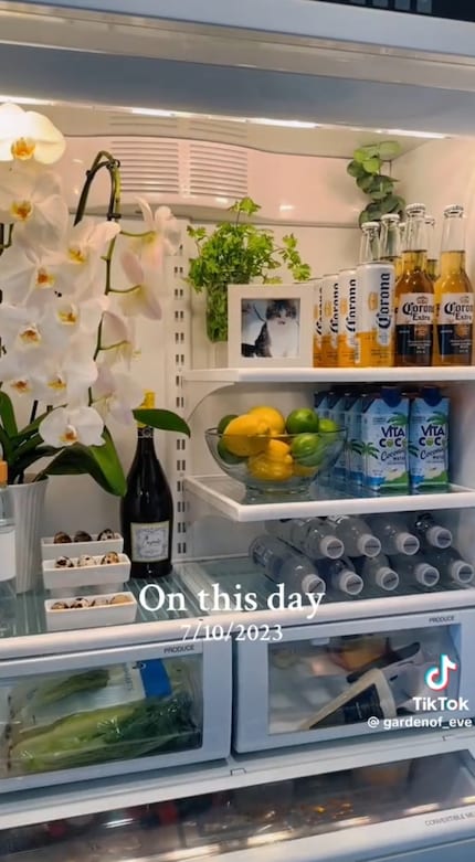 Influencers Tiffany Bishop, Lynzi Judish and Eve Scampoli and others are driving fridgescaping forward.