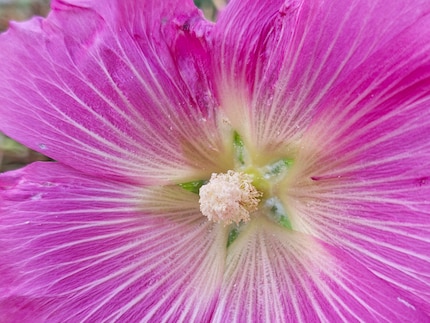 My best result so far with the macro feature.