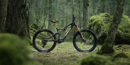 Das «PL Carbon Pro» von Amflow mit schwarzem Rahmen.