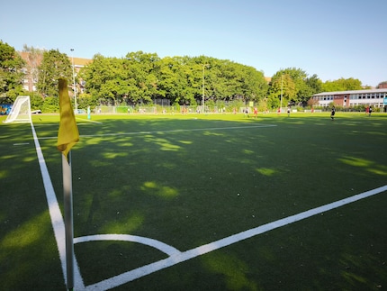 The HDR mode provides a bright shadow, but leaves the sunny areas too bright.
