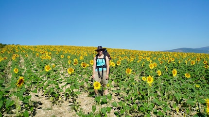 An manchen Tagen herrscht purer Sonnenschein beim Wandern auf dem Jakobsweg.