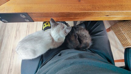 … we need to nap.