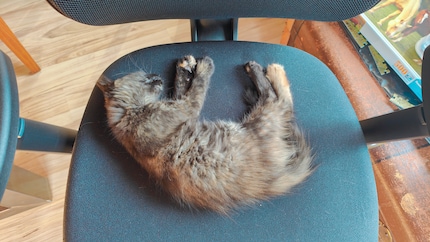 No, dude, you can’t use the computer now…