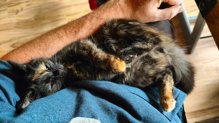The little beast isn’t always this harmless and cuddly.