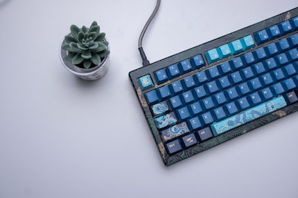 Dank austauschbarer Platine kann ich aus der MOD007 V3 HE eine mechanische Tastatur machen.