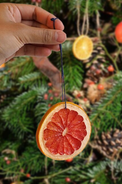  … und hänge die getrocknete Grapefruit an den Christbaum. 