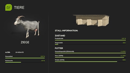 Clear as day: the existing pasture counts as part of the feed.