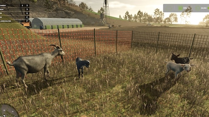 Those newborn goats love hopping around.