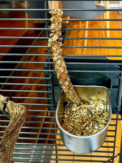 To prevent food fights, I’ve installed two feeding dishes in my cockatiels’ cage.