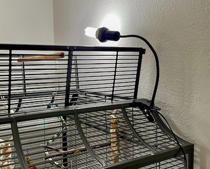 My bird lamp is actually an «own brand» solution. Since my birds’ cage only opens at the top, I need something flexible. Most conventional bird lamps, in contrast, are firmly screwed to the cage roof.