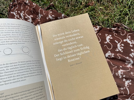 Quotes break up the diary pages and encourage reflection.