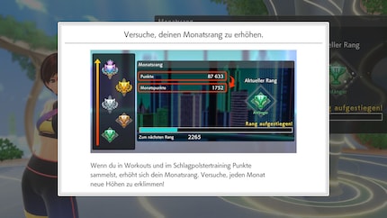 Ich kann durch mein regelmässiges Training im Rang aufsteigen.