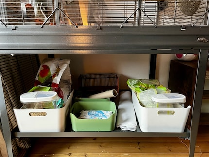 Here’s where I keep food, sand, things to nibble on, sheets of paper and so on.