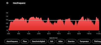 Dieselbe Runde in der Garmin-App.