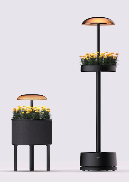 Zwei Varianten der grünen Lampe hat LG vorgestellt.