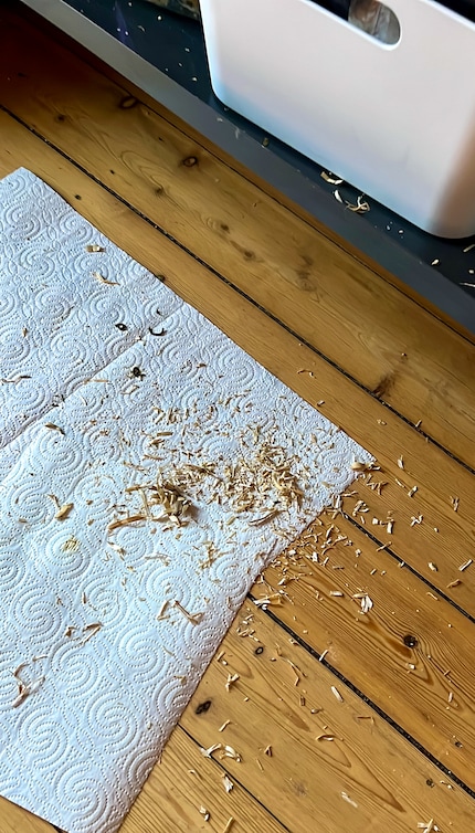 Jede Menge Hinterlassenschaften von den Sittichen.