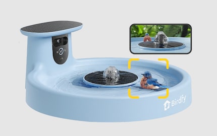 Capture the happy splashing of the birds automatically.