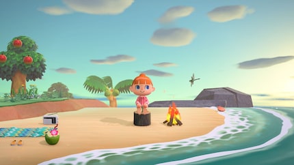 A new Animal Crossing as a constant companion on my Switch 2 would be great.