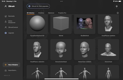 3D templates from a ball to an entire body.