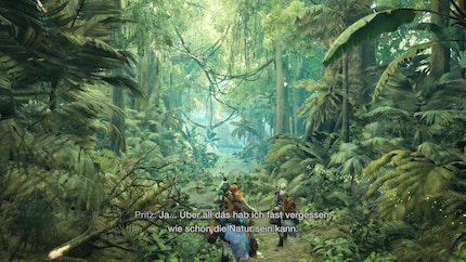 Graphically, Monster Hunter Wilds is particularly impressive with its beautiful landscapes and huge monsters.