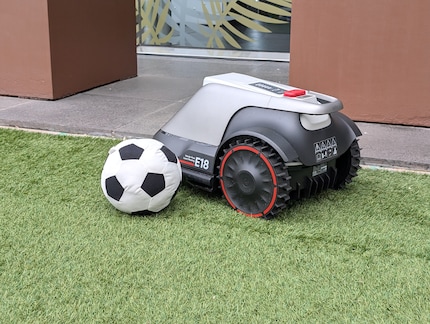 Hindernissen weicht der Roboter dank Kameras und Sensoren automatisch aus.