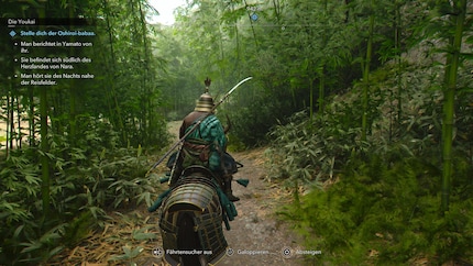 Look at this bamboo forest! Just look!