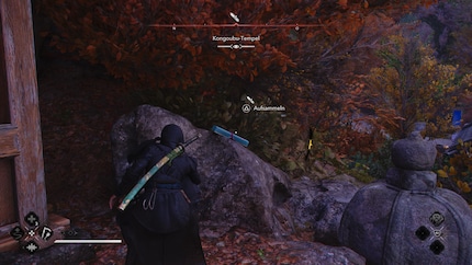 Collecting the same items in shrines over and over again quickly becomes boring.