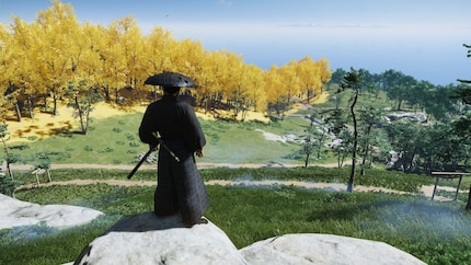 «How colourful should the game be?» Sucker Punch: «Yes.»