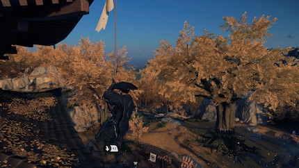 Jin can climb, but only to a limited extent.