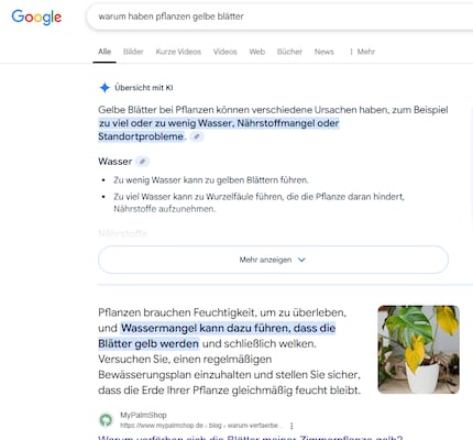 Suchergebnis bei einer Anfrage zur Pflanzenpflege: Oben wird die KI-Übersicht angezeigt, darunter die normalen Suchergebnisse mit relevanten Websites.