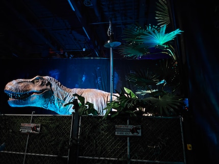 I snapped a shot of this T-Rex in the dark. It’s a bit blurry on closer inspection, but I like the picture on my smartphone.